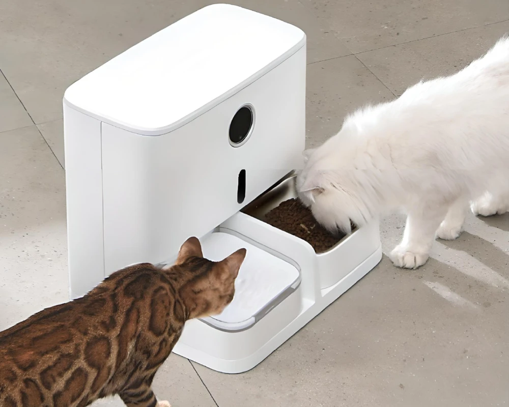 dog feeder automatic